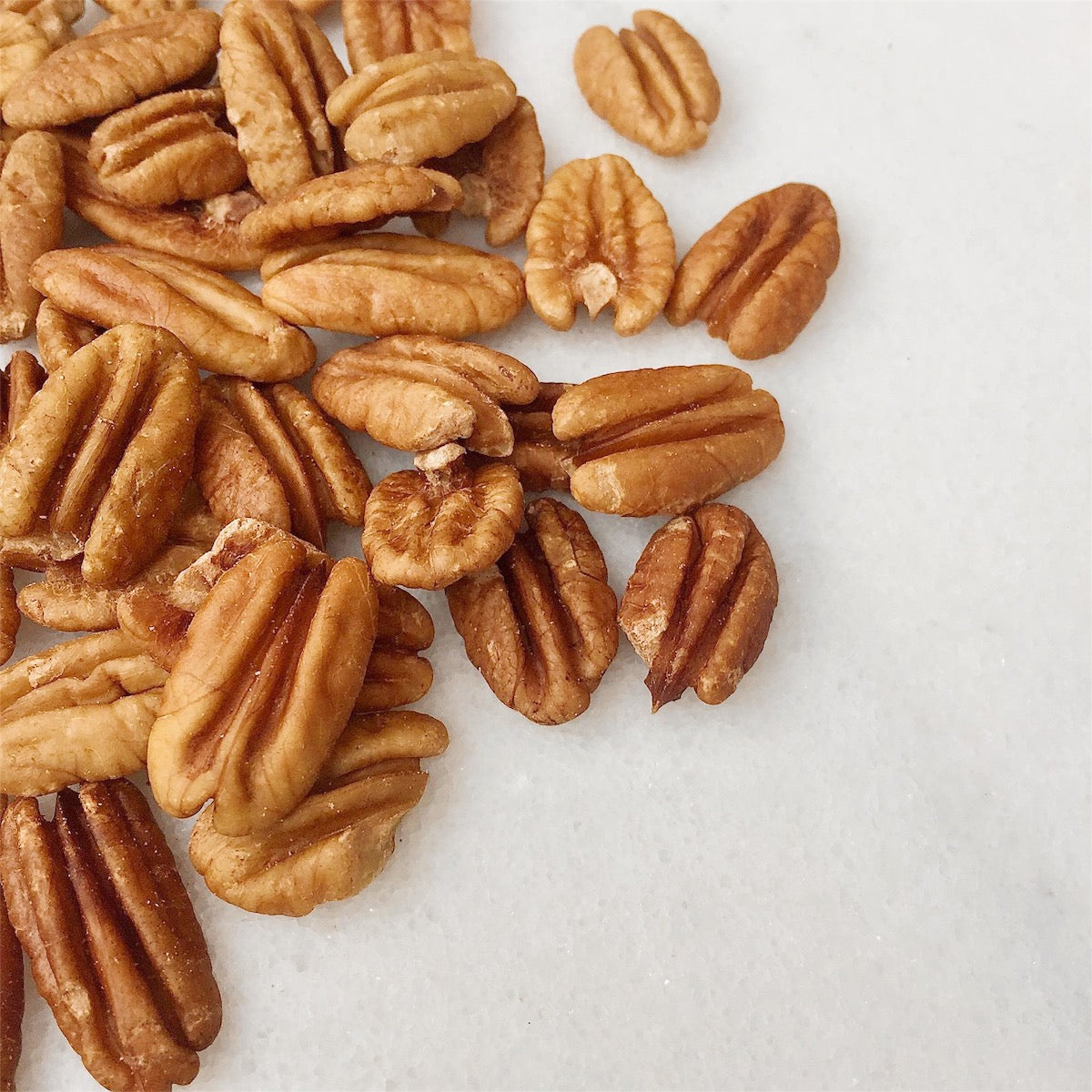 Pecans • Sprouted • USA