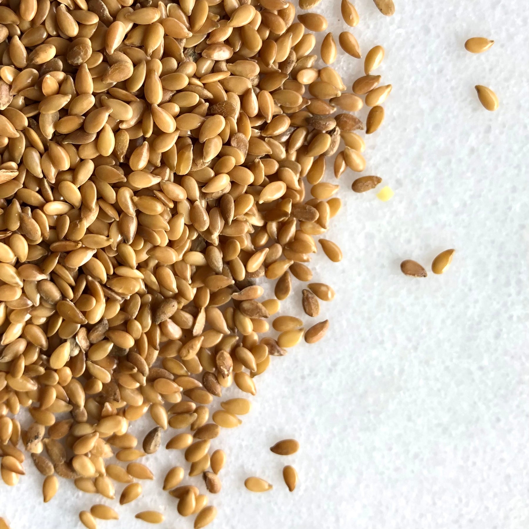 Flax Seeds • Golden • Raw •Kazakhstan