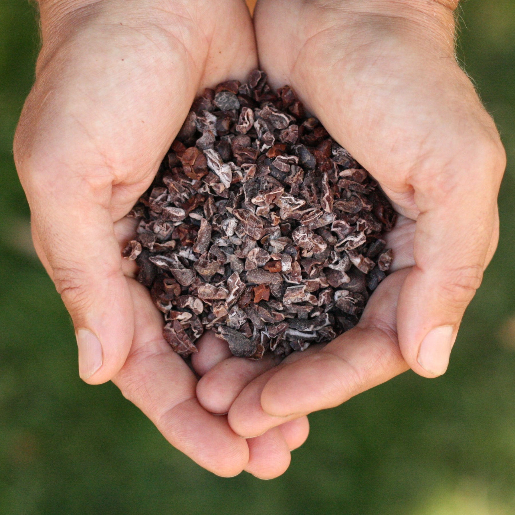 Raw cacao nibs from Peru
