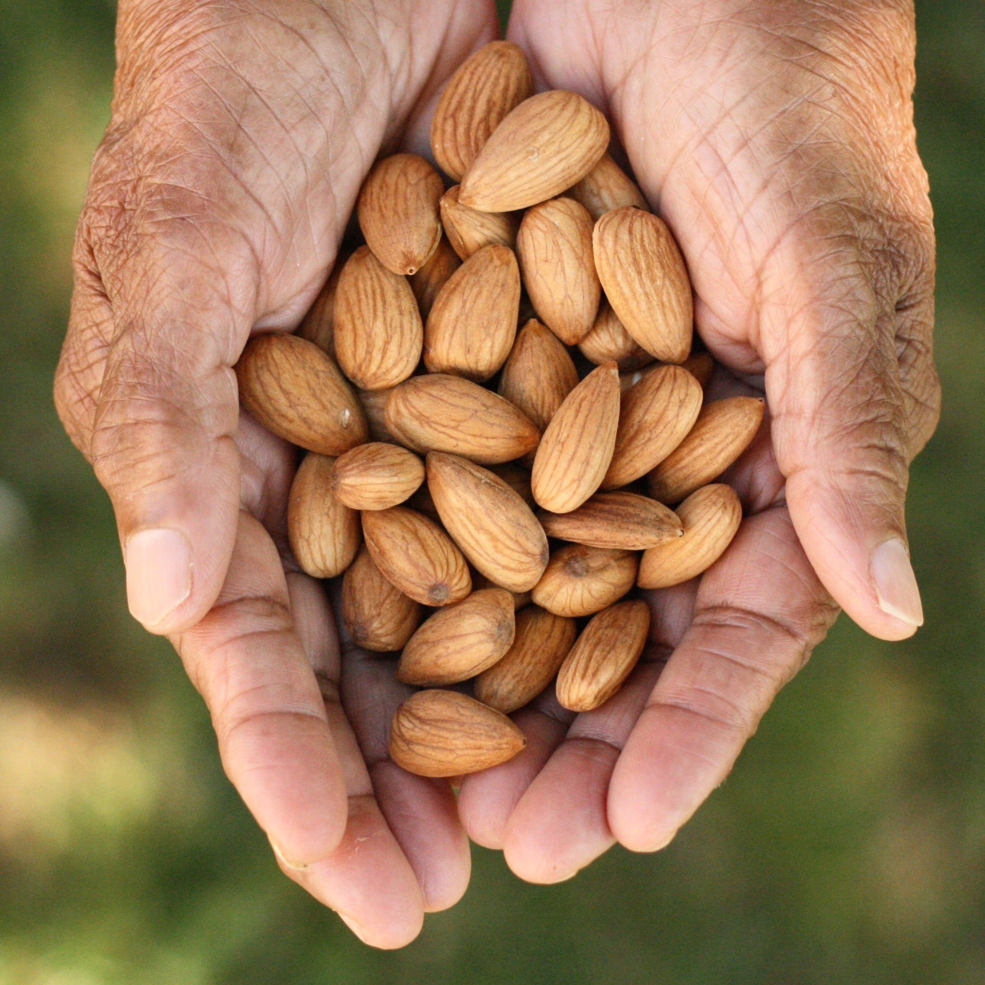 Australian sprouted almonds from Australian