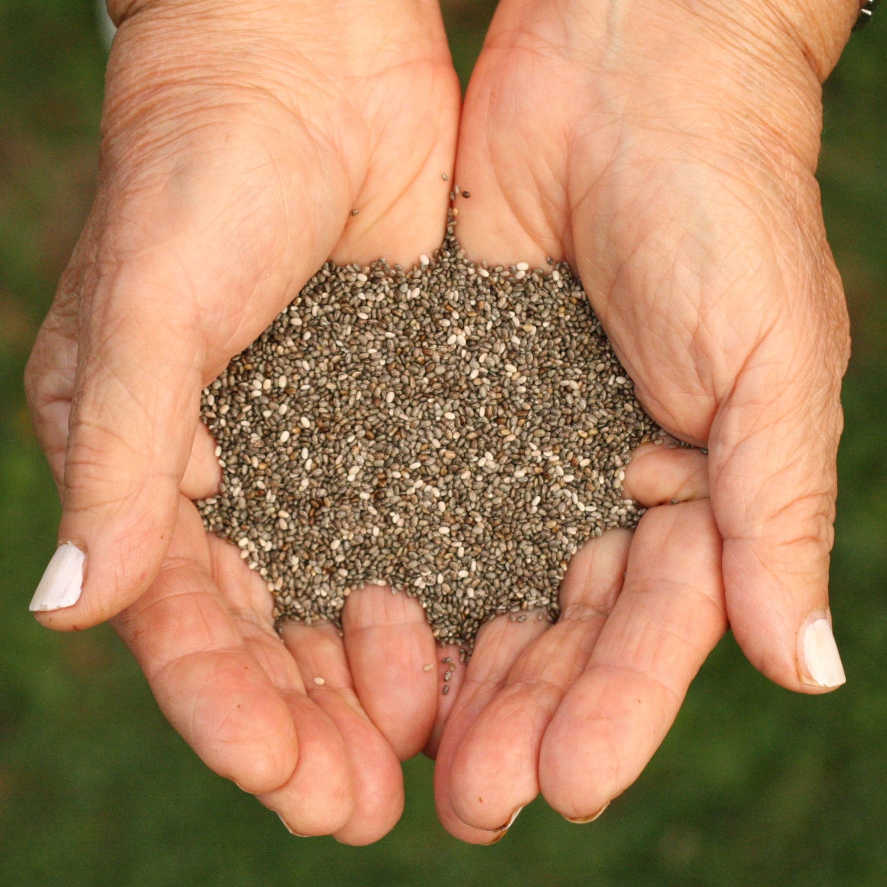 Raw chia seeds from Bolivia