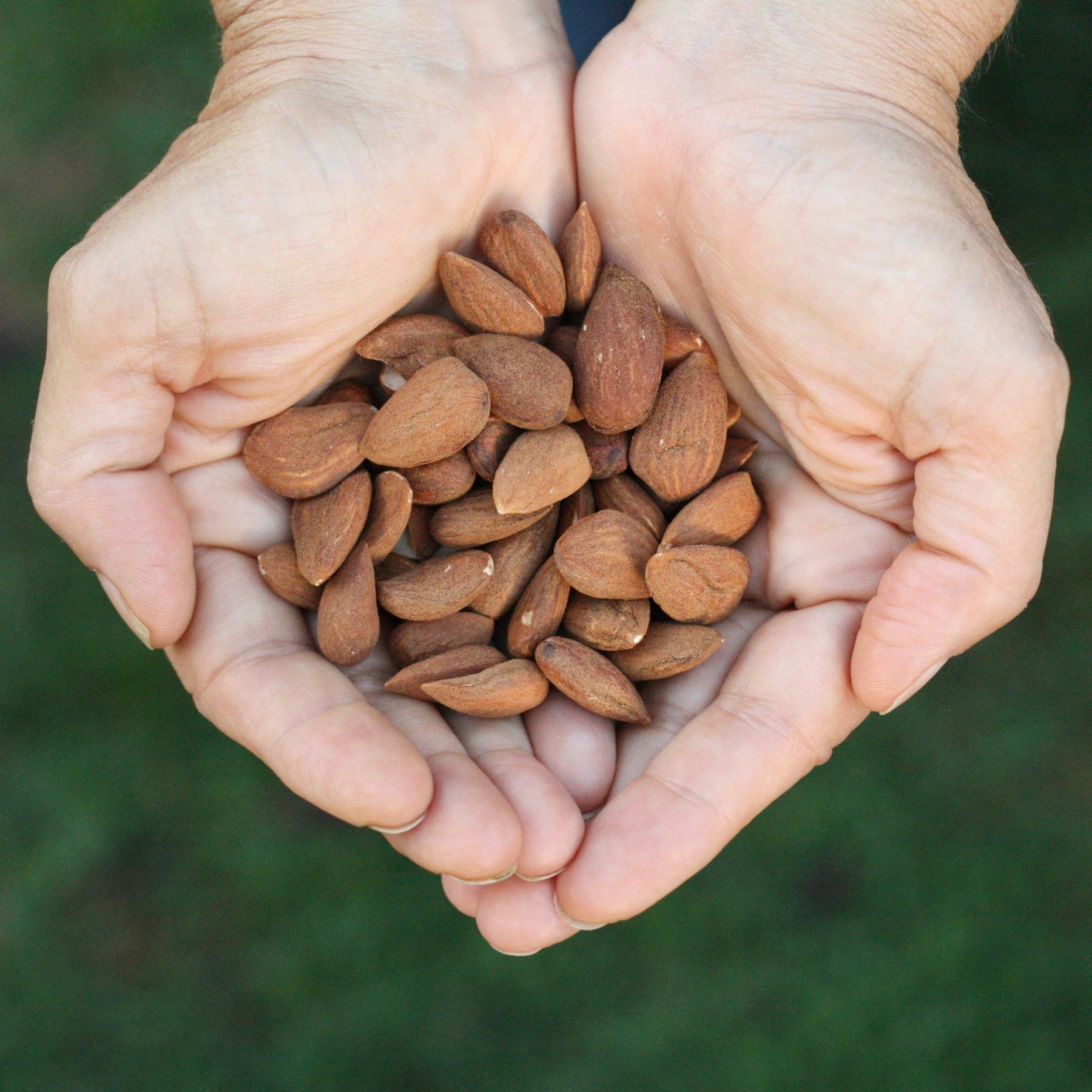 Spanish raw almonds from Spain