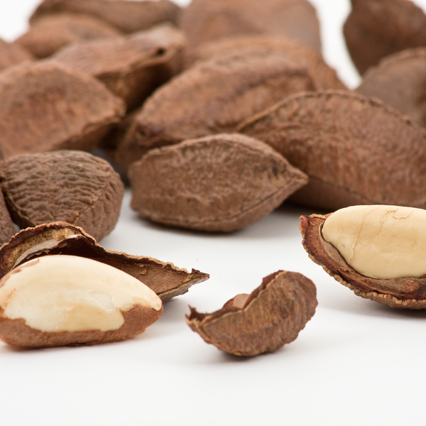 Brazil Nuts • Raw • Peru